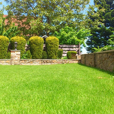 Lawn Care